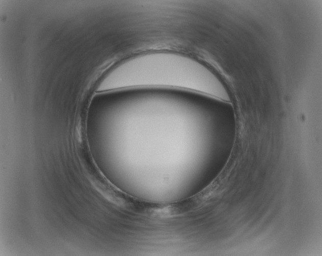 X0000080760068200612150944