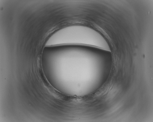 X0000080760071200612150944