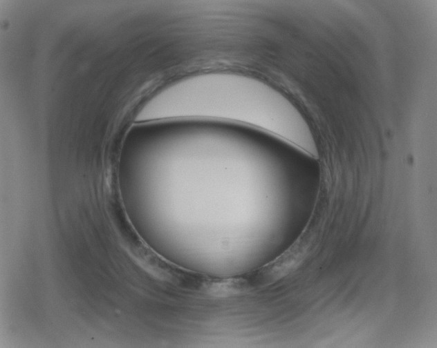 X0000080760072200612150944