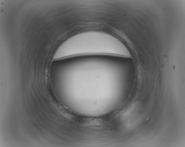 X0000080760073200612150944