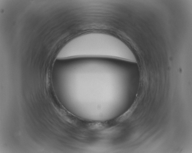 X0000080760074200612150944