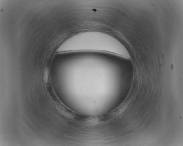 X0000080760076200612150944