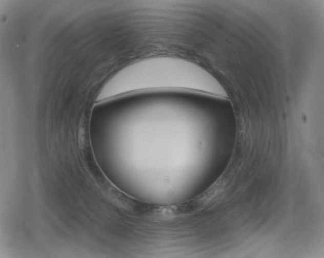 X0000080760080200612150944