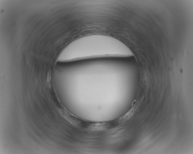 X0000080760082200612150944