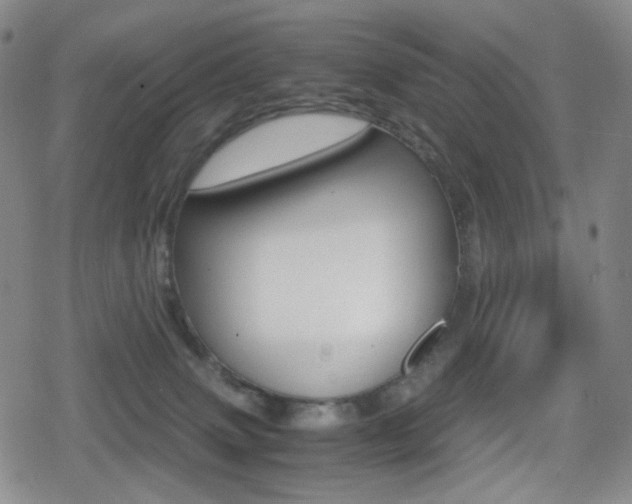 X0000080760083200612150944