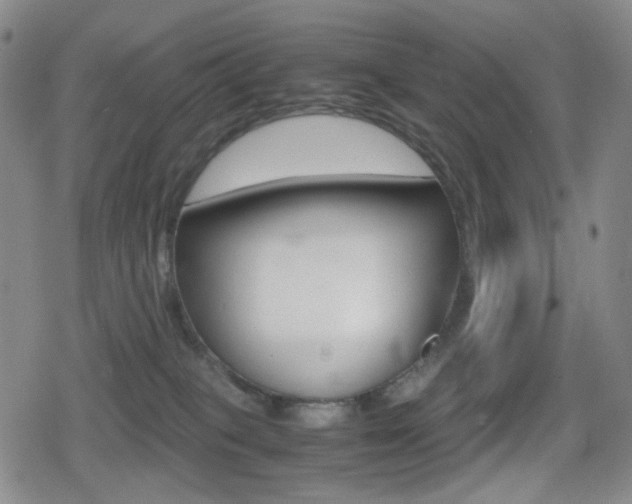 X0000080760085200612150944