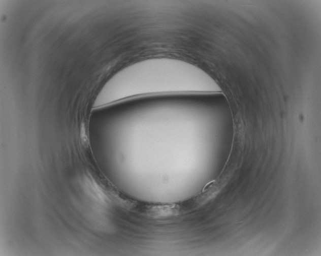 X0000080760089200612150945