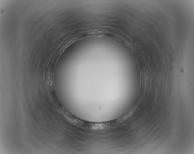 X0000080760091200612150945