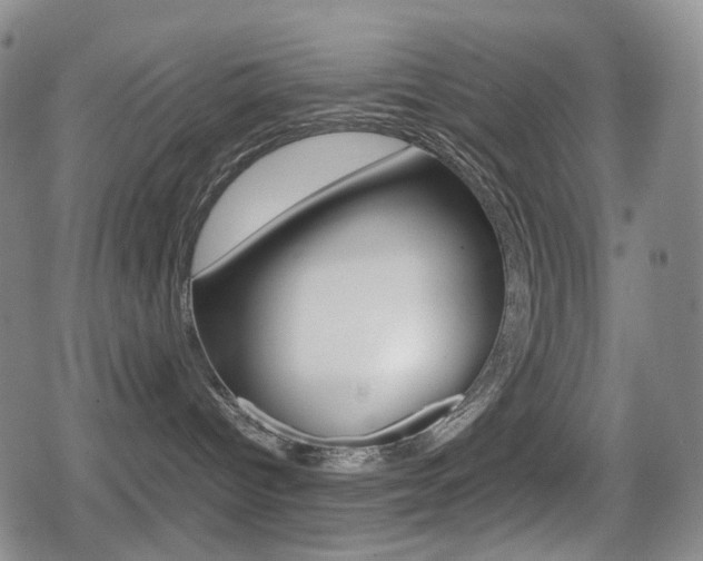 X0000080760096200612150945