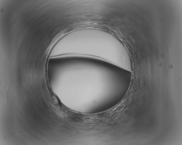 X0000080760099200612150944