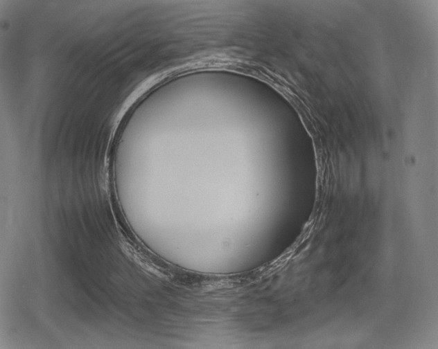 X0000080760100200612150944