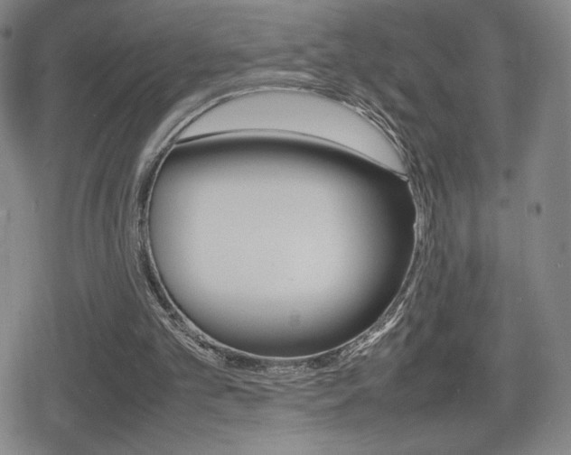 X0000080760101200612150944