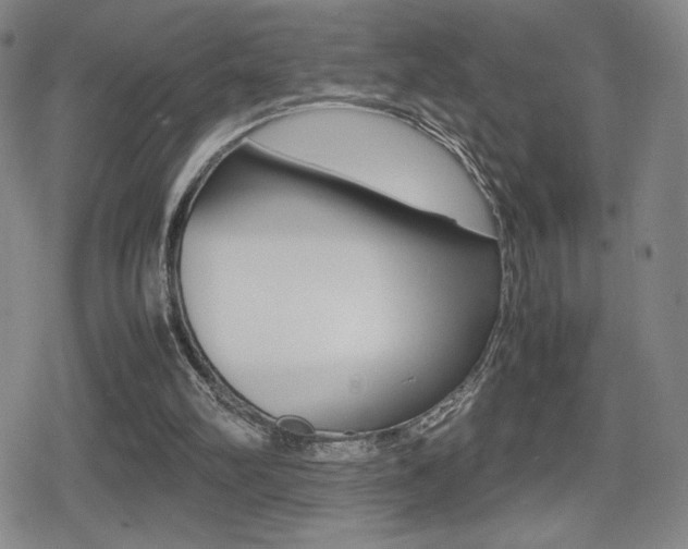 X0000080760102200612150944