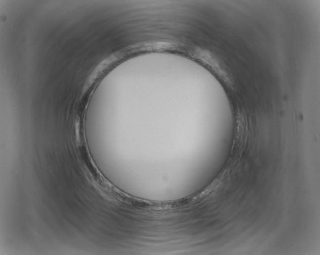 X0000080760110200612150944