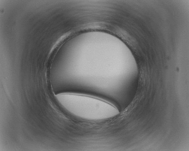 X0000080760112200612150944