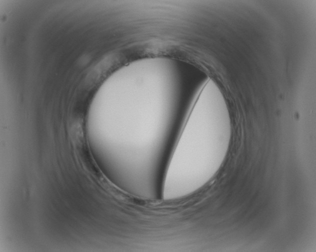 X0000080760127200612150943