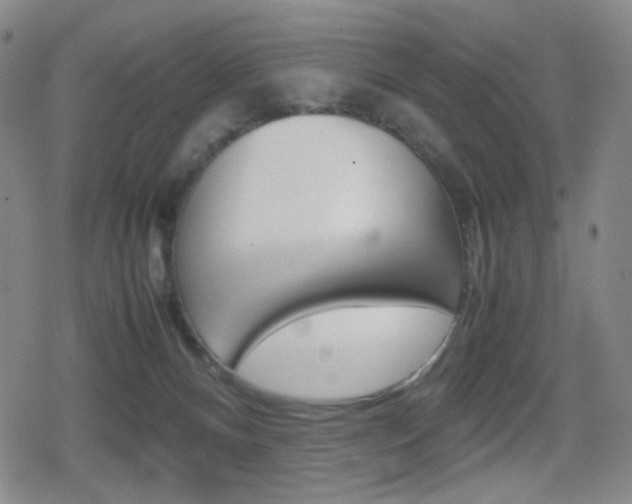 X0000080760128200612150943