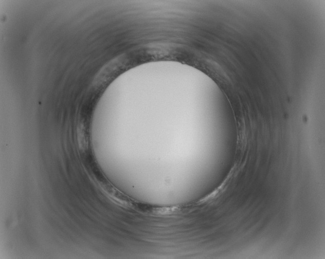 X0000080760136200612150943