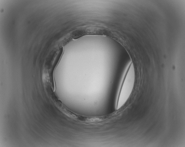 X0000080760137200612150943
