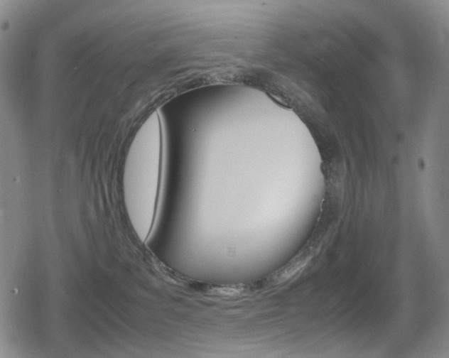 X0000080760139200612150943
