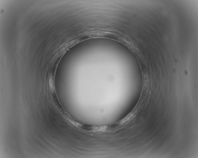 X0000080760143200612150943