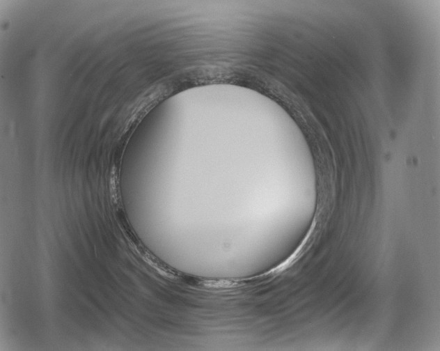 X0000080760144200612150943