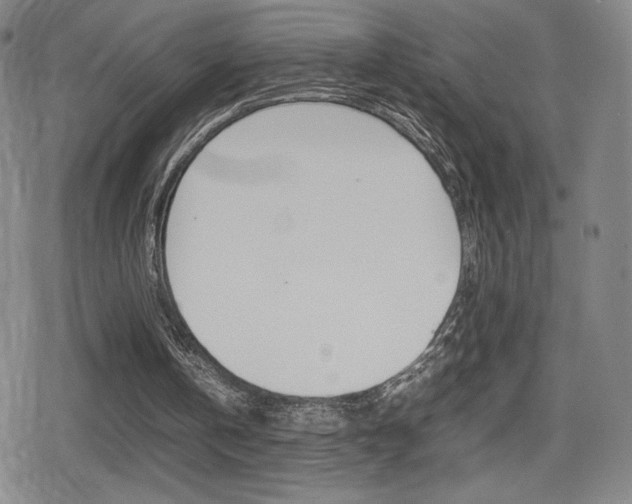 X0000080760146200612150942