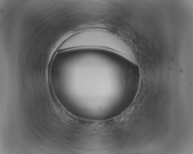 X0000080760148200612150942