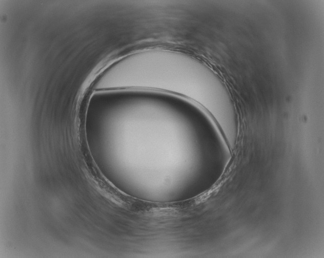 X0000080760150200612150942
