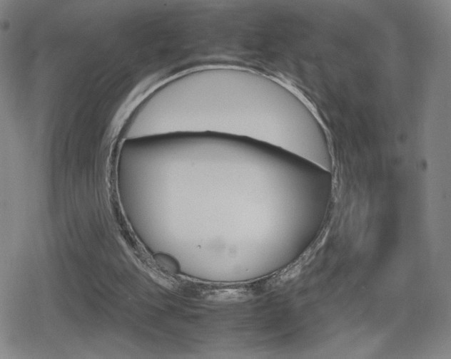 X0000080760151200612150942