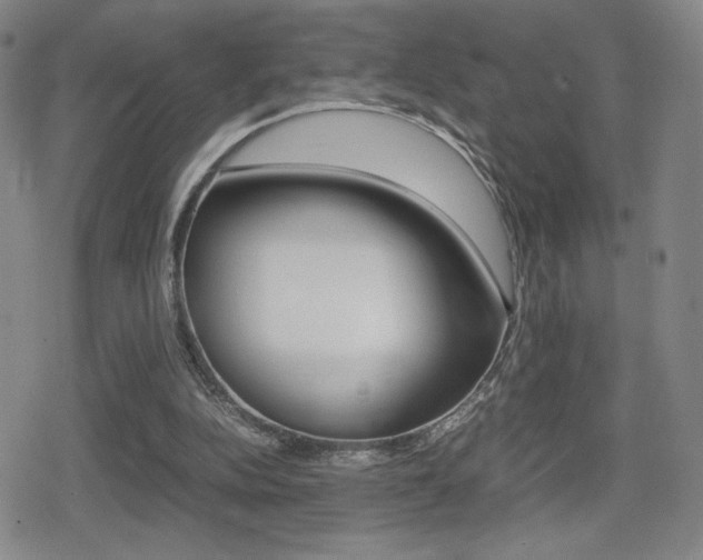 X0000080760152200612150942