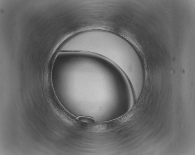 X0000080760156200612150942