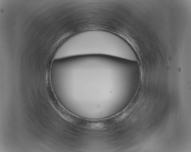 X0000080760157200612150943