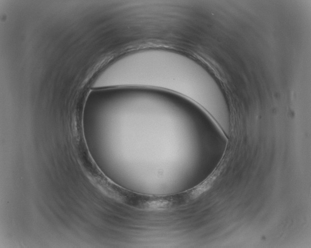 X0000080760158200612150943