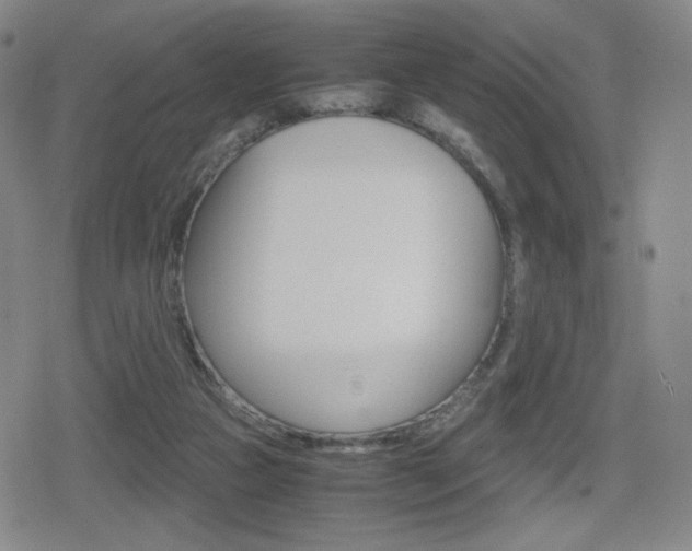 X0000080760161200612150943
