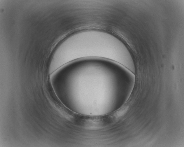 X0000080760164200612150943