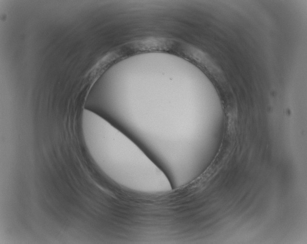 X0000080760165200612150943