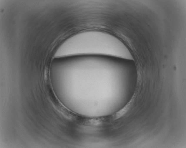X0000080760166200612150943
