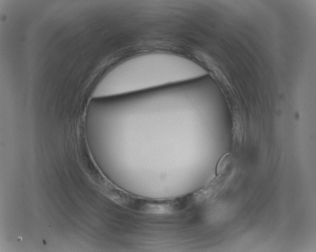 X0000080760167200612150943
