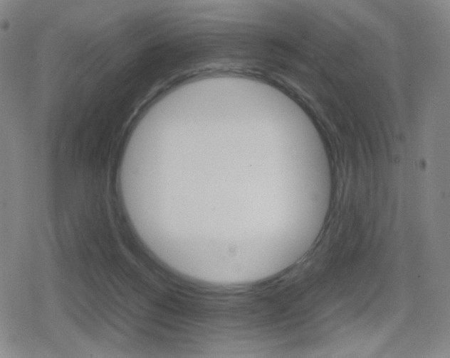 X0000080760168200612150943