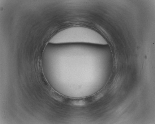 X0000080760169200612150943