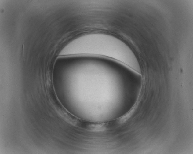 X0000080760170200612150943