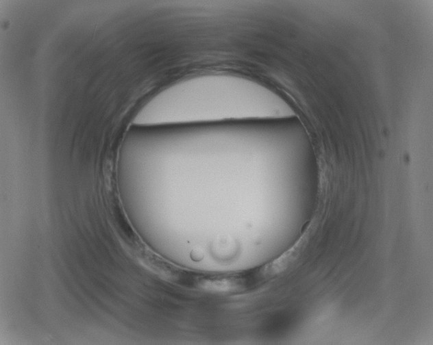 X0000080760171200612150943