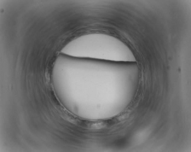X0000080760173200612150943