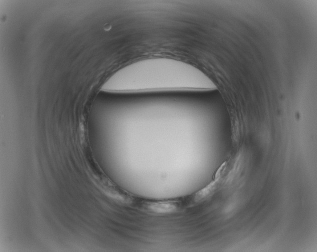 X0000080760183200612150943