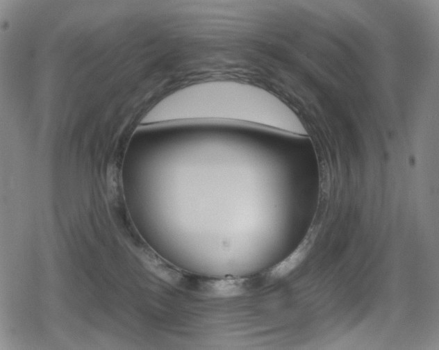 X0000080760184200612150943
