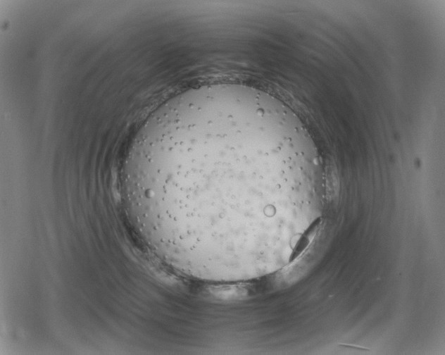 X0000080760187200612150943