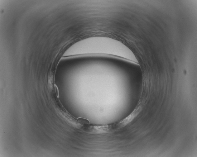 X0000080760188200612150943
