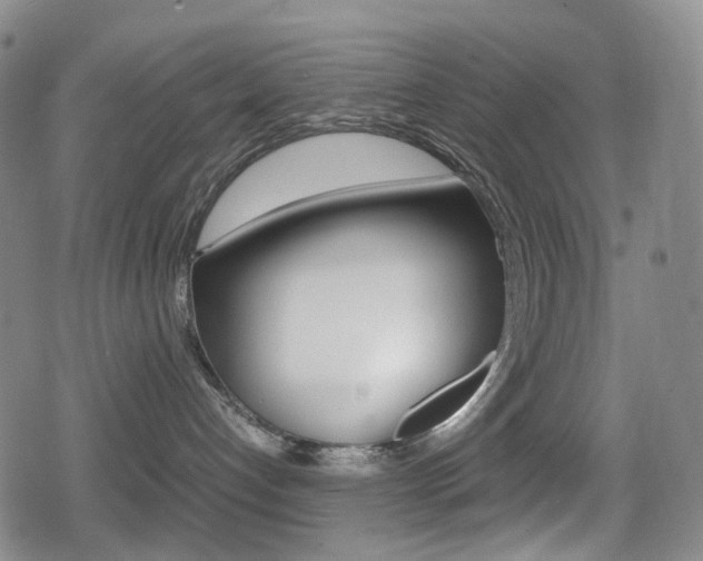 X0000080760192200612150943