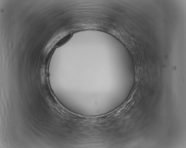 X0000080760194200612150942
